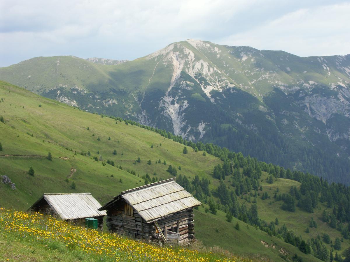 Hotel Garni Haus Anita Liesing Екстериор снимка